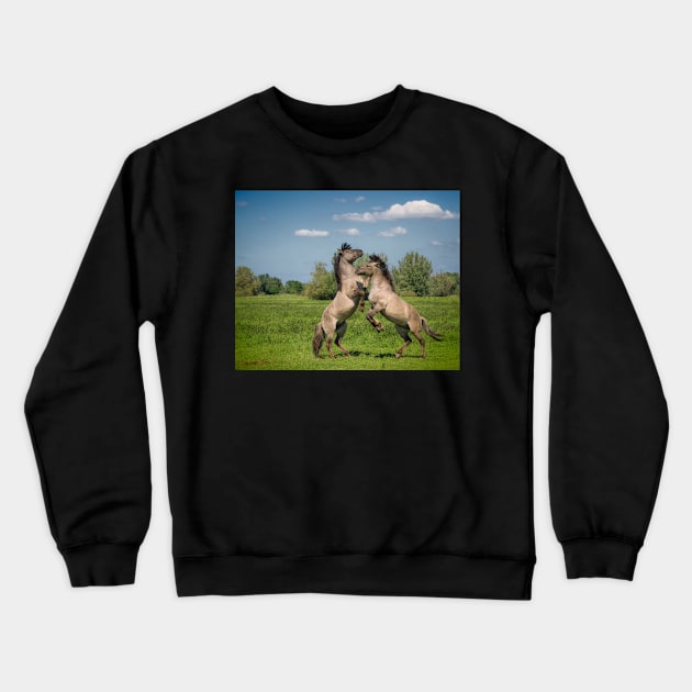 It takes two to tango Crewneck Sweatshirt by hton